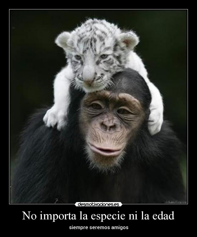 No importa la especie ni la edad - siempre seremos amigos