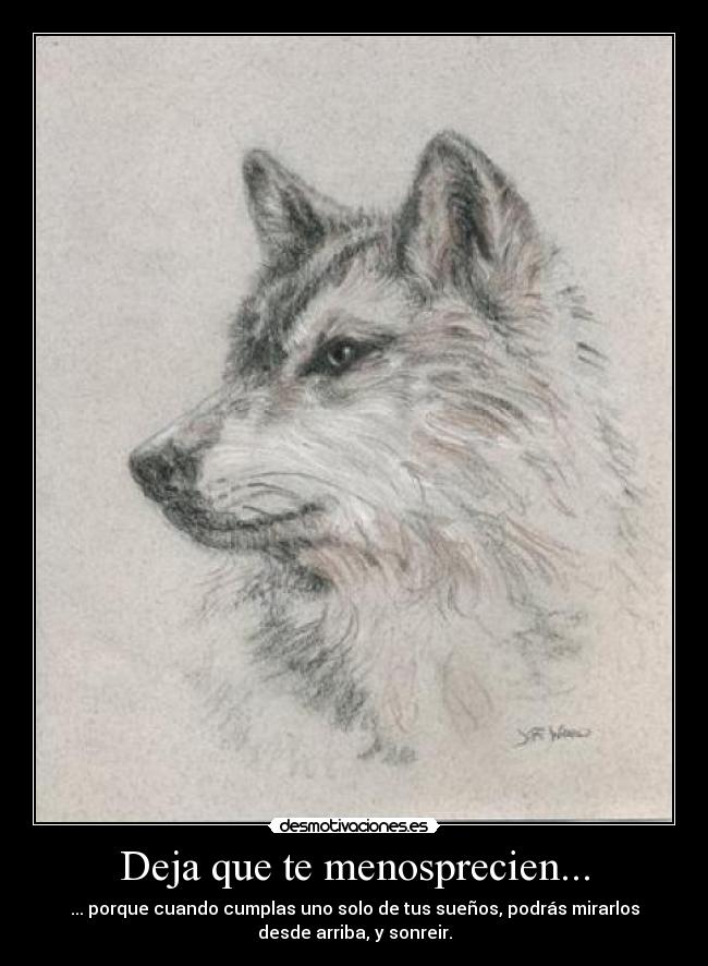 carteles menosprecien cumplas suenos arriba sonreir desmotivaciones