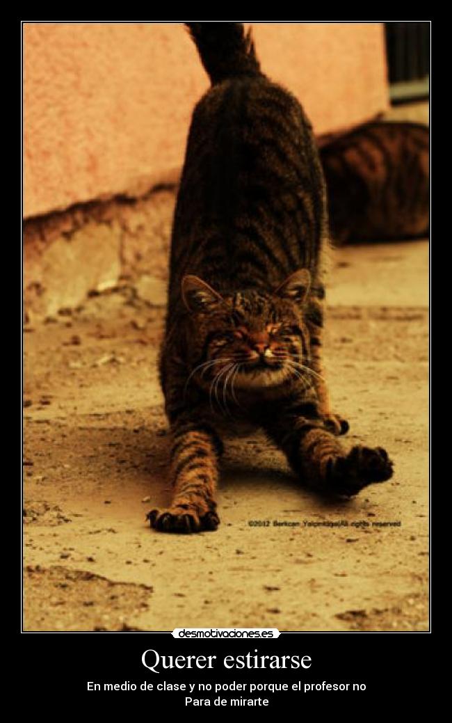 Querer estirarse - 