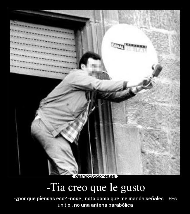 -Tia creo que le gusto -