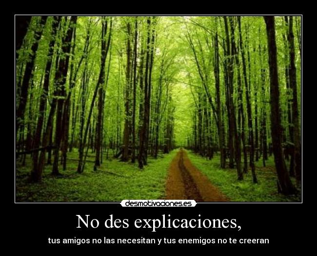 No des explicaciones, - tus amigos no las necesitan y tus enemigos no te creeran