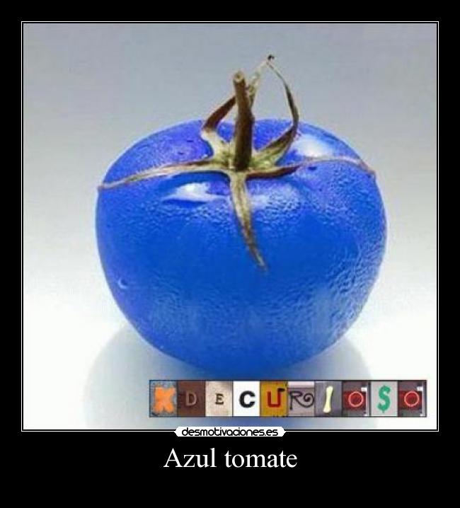 Azul tomate -