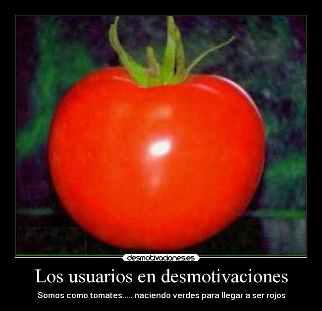 Los usuarios en desmotivaciones - Somos como tomates..... naciendo verdes para llegar a ser rojos