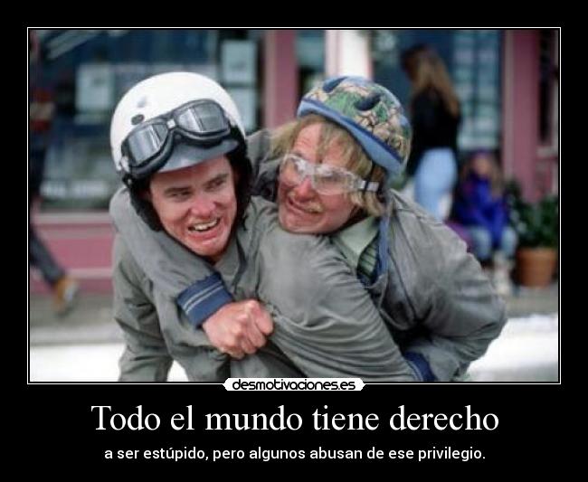 Todo el mundo tiene derecho - a ser estúpido, pero algunos abusan de ese privilegio.