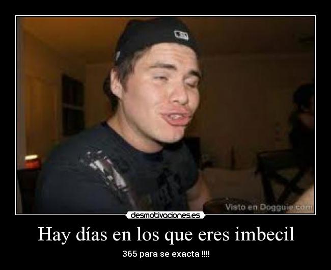carteles dias imbecil 365 desmotivaciones