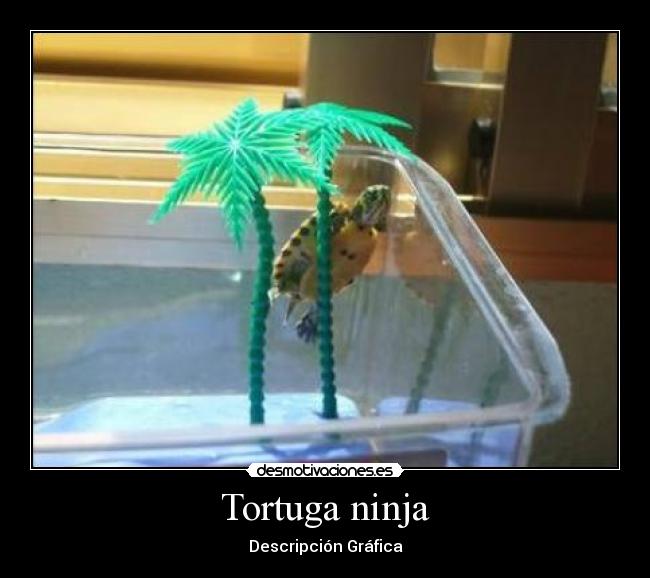 Tortuga ninja -