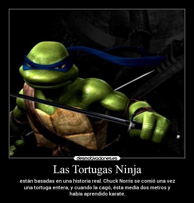 Las Tortugas Ninja - están basadas en una historia real. Chuck Norris se comió una vez
una tortuga entera, y cuando la cagó, ésta medía dos metros y
había aprendido karate.