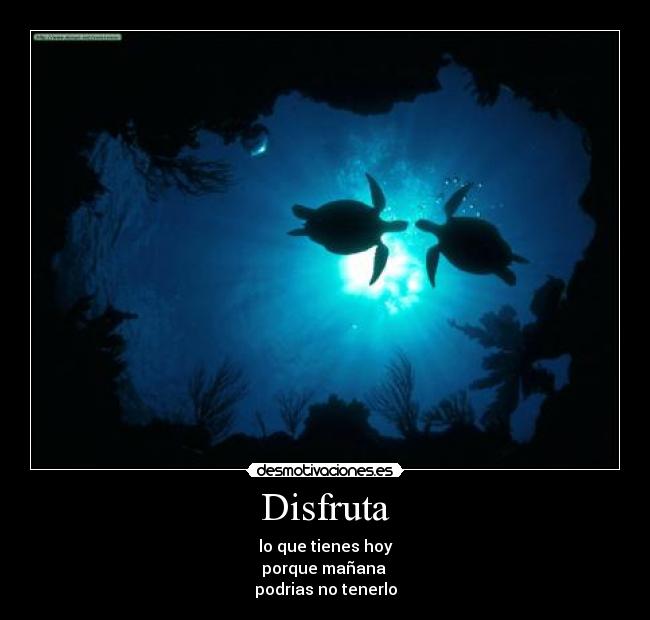 Disfruta -