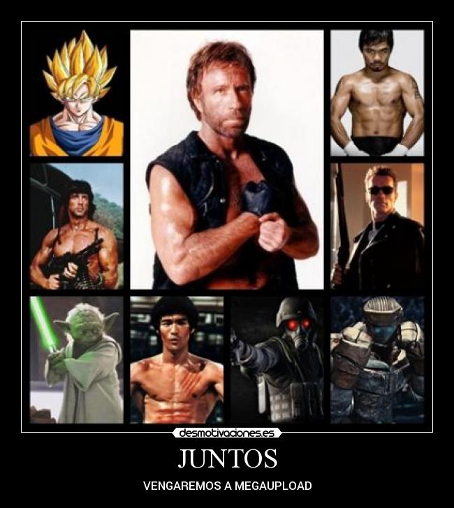 carteles megaupload chuck norris yoda rambo terminator bruce lee hunk atom goku desmotivaciones