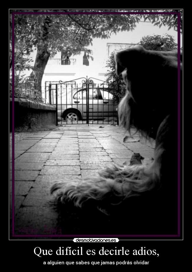 Que difícil es decirle adios, - a alguien que sabes que jamas podrás olvidar