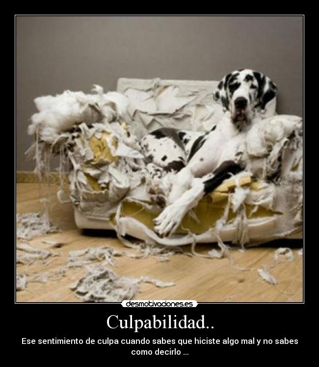 Culpabilidad.. - 