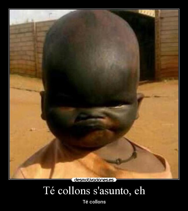 Té collons sasunto, eh - Té collons