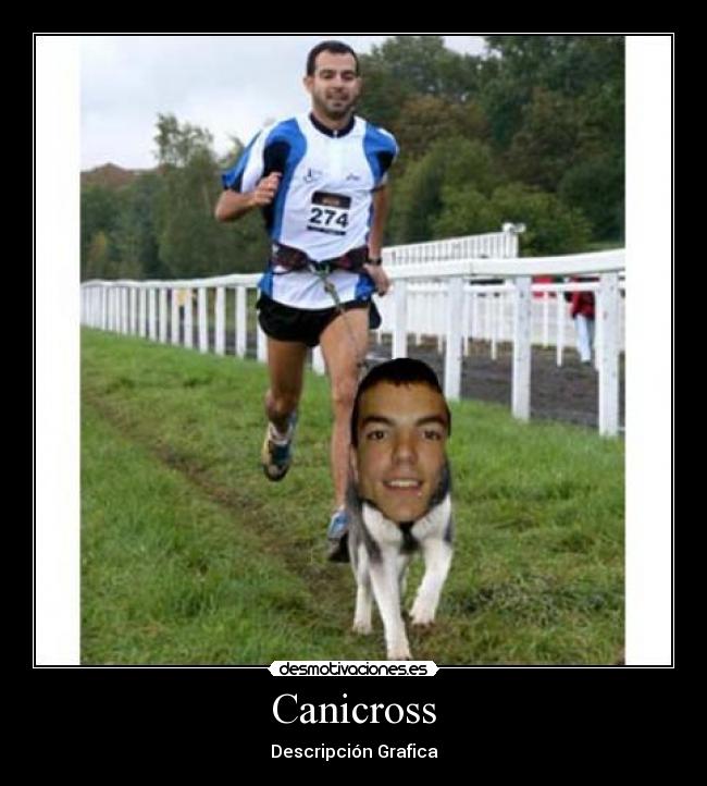Canicross - Descripción Grafica