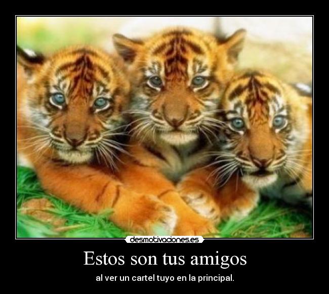 Estos son tus amigos -