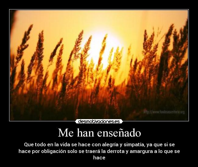 carteles han ensenado desmotivaciones