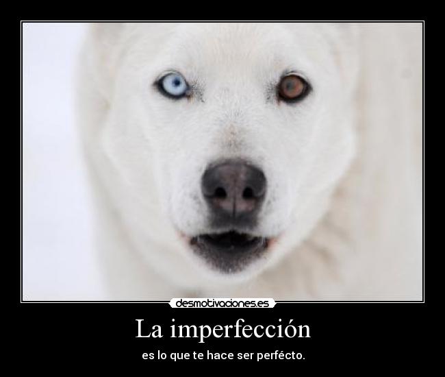 La imperfección -