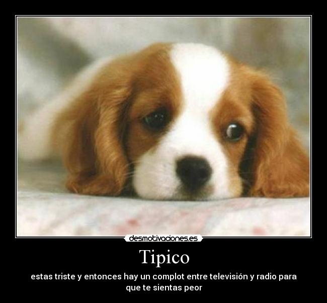 Tipico - 