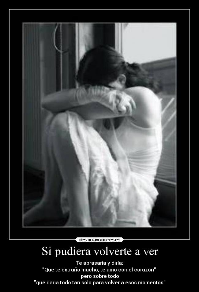 Si pudiera volverte a ver - Te abrasaría y diría:
Que te extraño mucho, te amo con el corazón 
pero sobre todo
que daría todo tan solo para volver a esos momentos