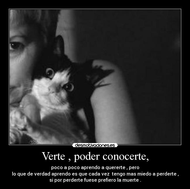 carteles verte desmotivaciones