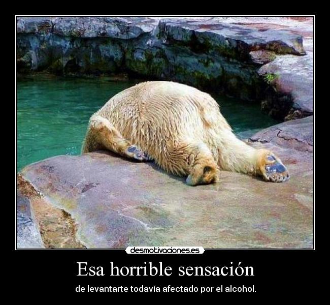 Esa horrible sensación -