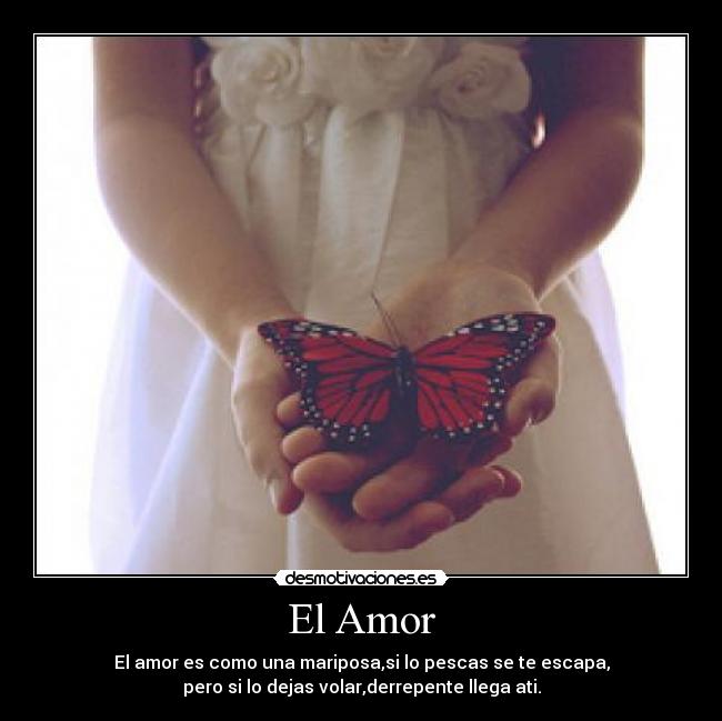 El Amor - El amor es como una mariposa,si lo pescas se te escapa,
pero si lo dejas volar,derrepente llega ati.