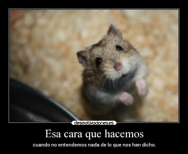 Esa cara que hacemos -