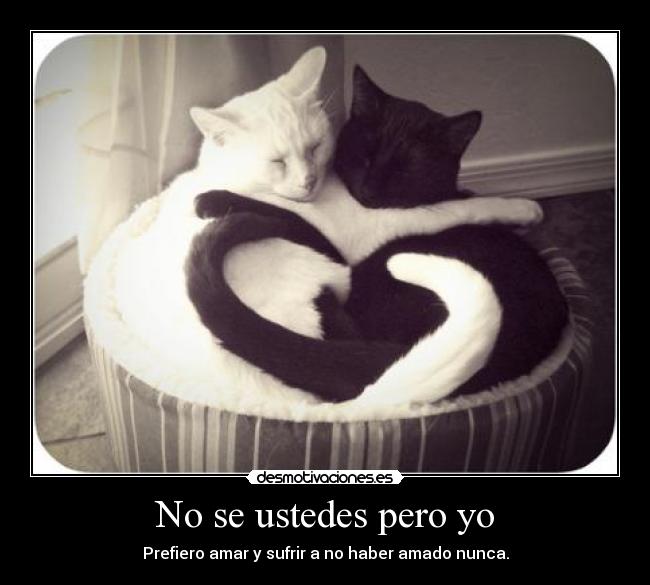 No se ustedes pero yo -