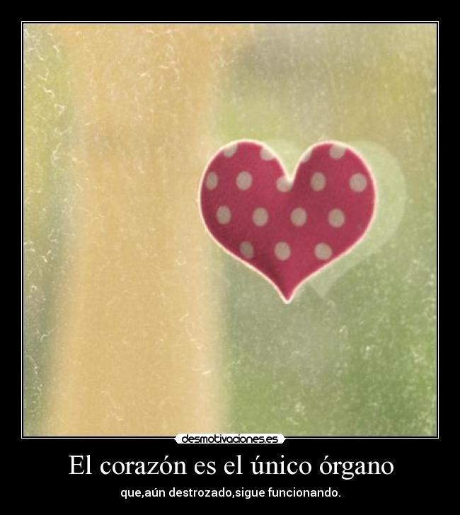 El corazón es el único órgano - 