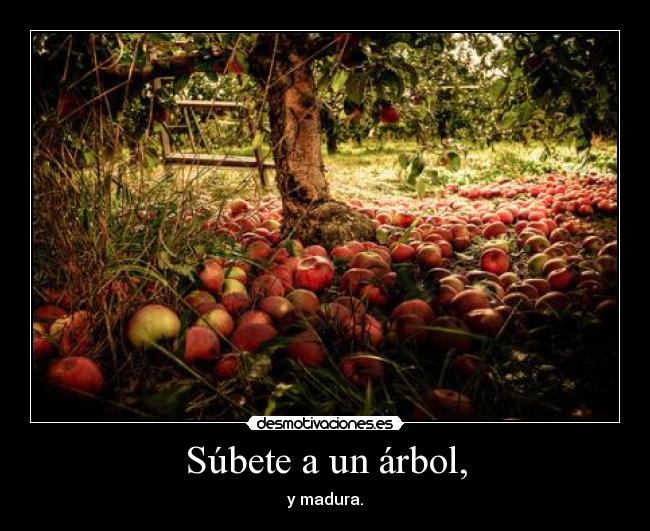 Súbete a un árbol, - y madura.