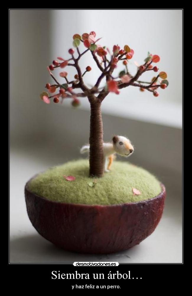 Siembra un árbol… - 