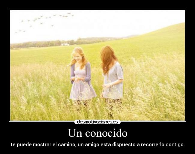 Un conocido - te puede mostrar el camino, un amigo está dispuesto a recorrerlo contigo.