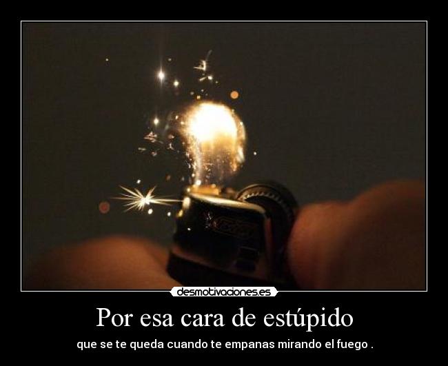 Por esa cara de estúpido - que se te queda cuando te empanas mirando el fuego .