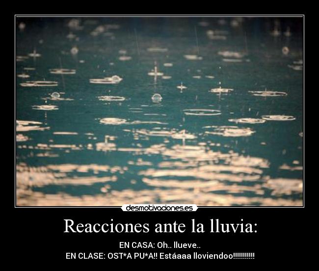 Reacciones ante la lluvia: - 