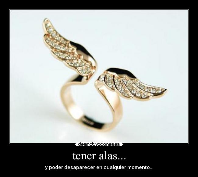 tener alas... - y poder desaparecer en cualquier momento...