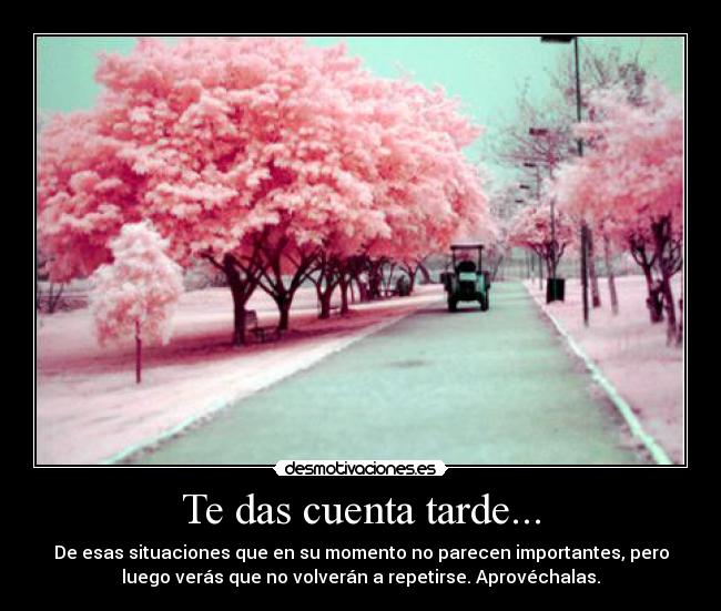 Te das cuenta tarde... - De esas situaciones que en su momento no parecen importantes, pero
luego verás que no volverán a repetirse. Aprovéchalas.