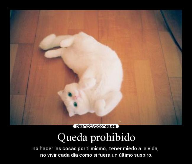 Queda prohibido - no hacer las cosas por ti mismo, tener miedo a la vida,
no vivir cada día como si fuera un último suspiro.