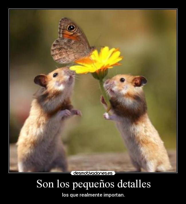 Son los pequeños detalles -