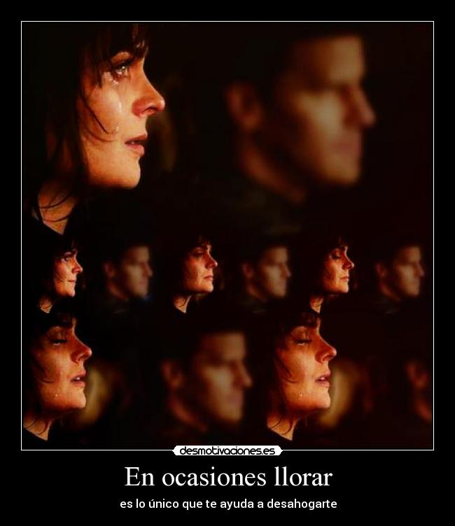 carteles llorar ocaciones llorar bones booth rechazo temperanse temperance brennan lagrima foto desmotivaciones