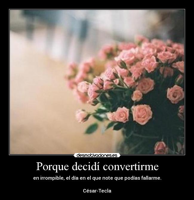 Porque decidí convertirme - en irrompible, el día en el que note que podías fallarme.

César-Tecla