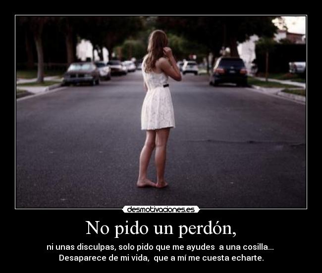 carteles pido perdon desmotivaciones