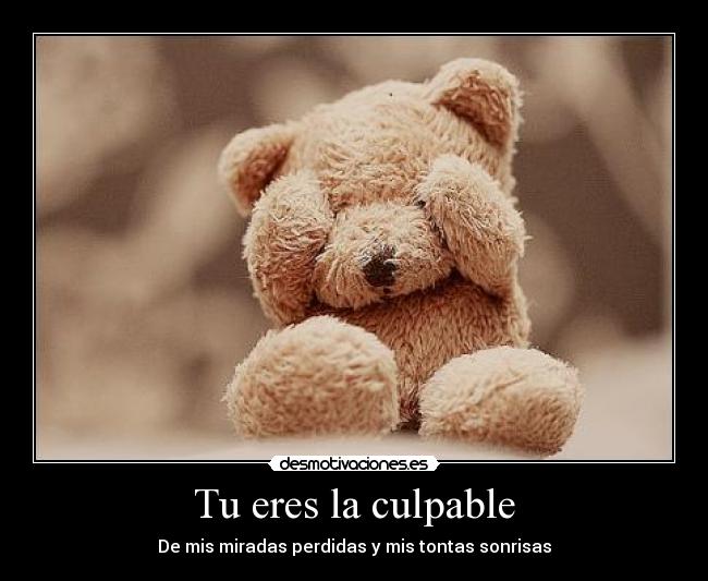 Tu eres la culpable - 