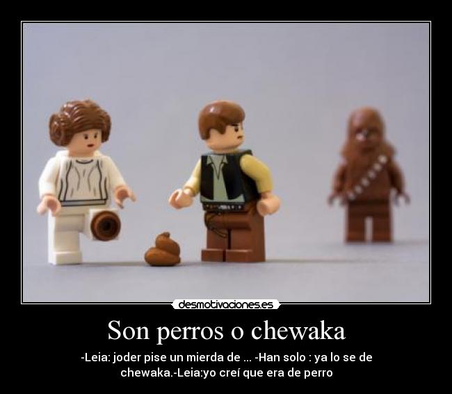 Son perros o chewaka -
