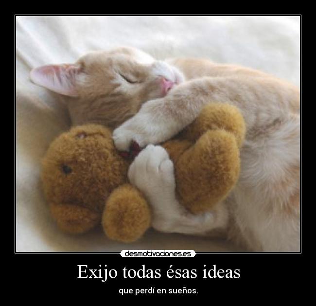 Exijo todas ésas ideas - que perdí en sueños.