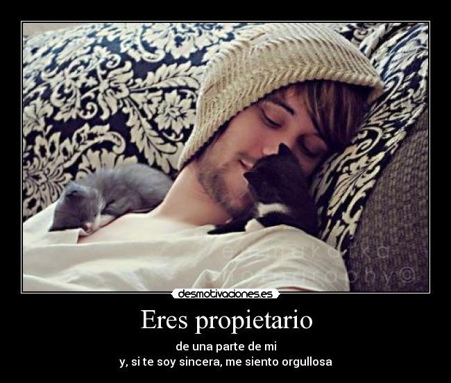 Eres propietario - 