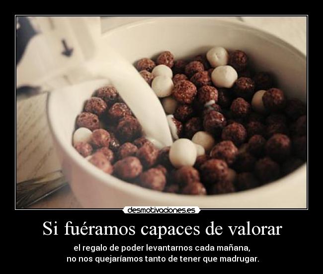 carteles odio admitirlo pero cierto tifani9 chococrispies ewe desmotivaciones