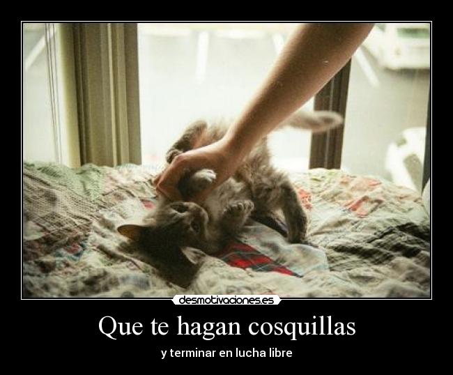 Que te hagan cosquillas - y terminar en lucha libre