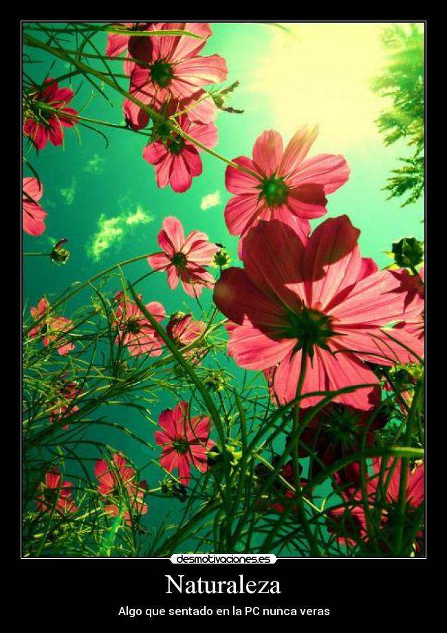 Naturaleza - Algo que sentado en la PC nunca veras