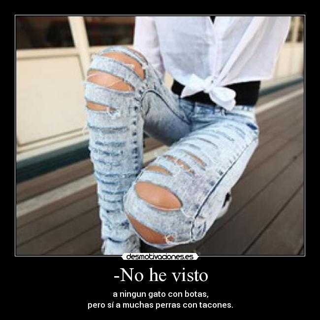 -No he visto - a ningun gato con botas,
pero sí a muchas perras con tacones.