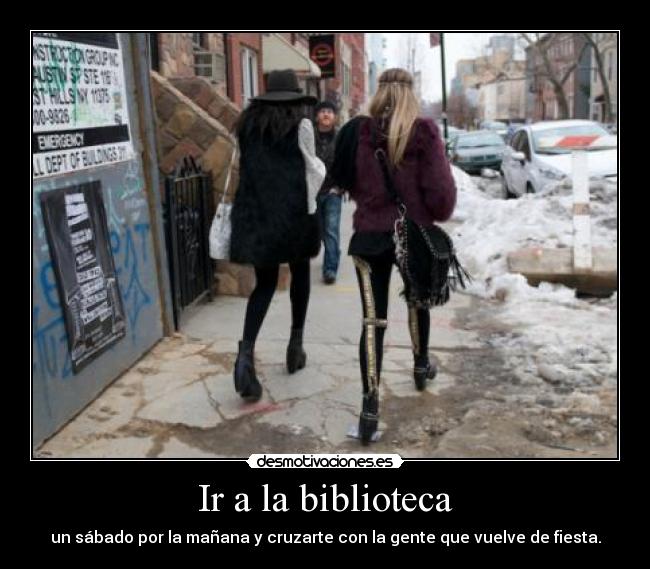 Ir a la biblioteca - 