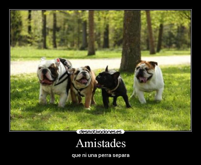 Amistades -